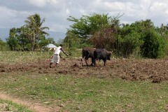 Agriculture Project